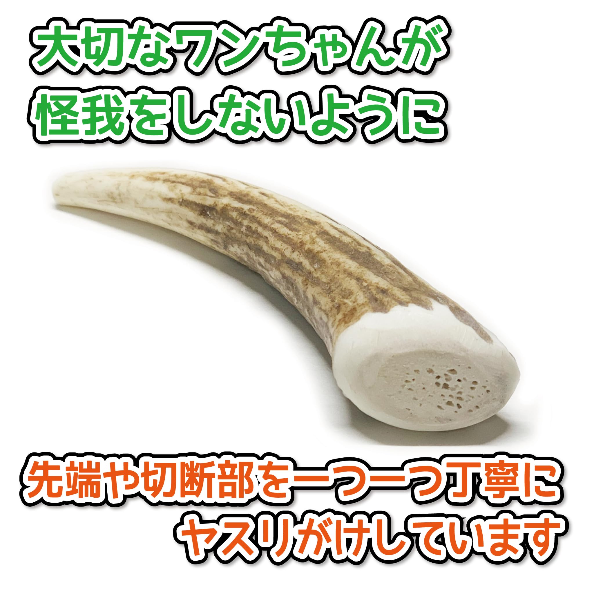 鹿の角8対16本セット